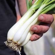 Kategoriename Kategoriename